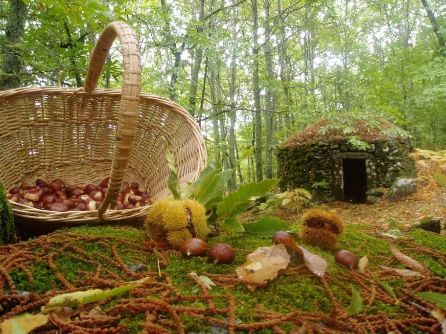 Casa Rural Margarita I Montánchez Exteriör bild